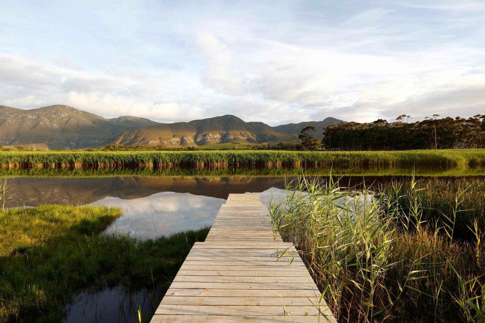 Springfontein River Lodge Stanford Exterior foto