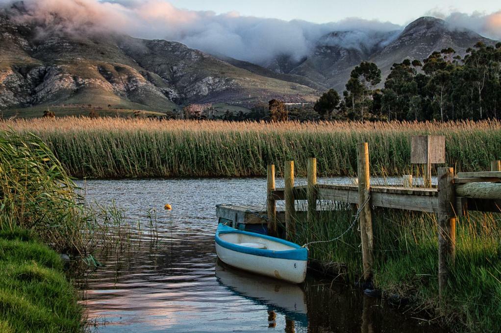 Springfontein River Lodge Stanford Quarto foto